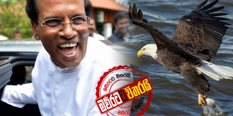 මෛත්‍රී‌ගේ උකුසු කතාවෙන් ශ්‍රීලනිපය නන්නත්තාරයි: ‌පොහොට්ටුවත් තීන්දුවක් ගනී