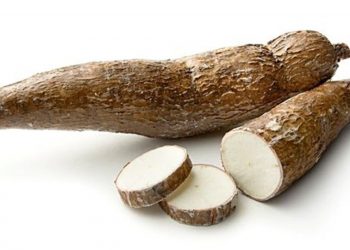 අල හා කොළ සමාන ගුණයෙන් යුතු මඤ්ඤොක්කා
