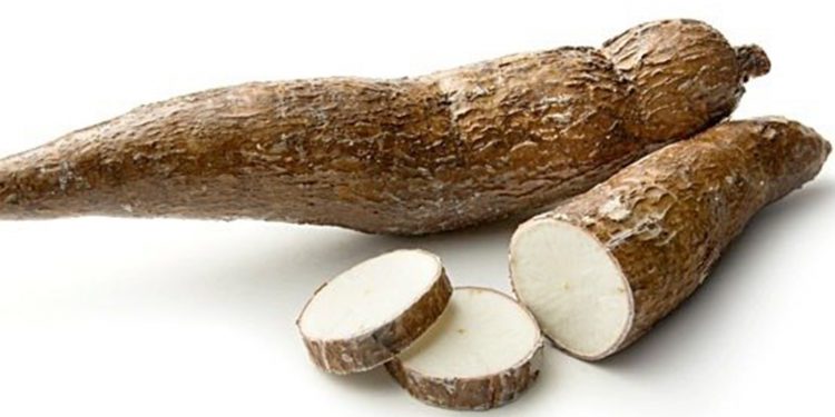අල හා කොළ සමාන ගුණයෙන් යුතු මඤ්ඤොක්කා