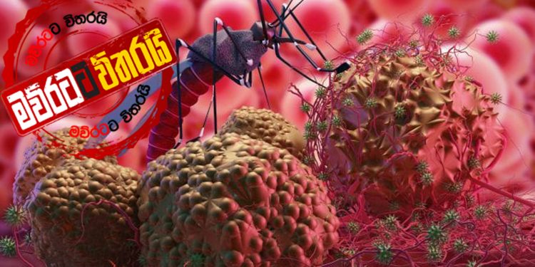 එදා රටම ගිලගත් මැලේරියාව අපි  මර්දනය කරපු හැටි