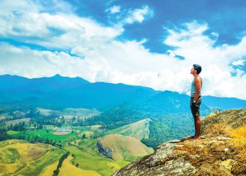 පුංචි නවසීලන්තයේ හෝරාවක්
