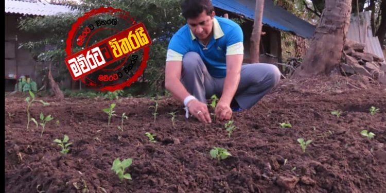 මෛත්‍රී එක්ක ‌ගේම ඉල්ලපු ‌රොෂාන් දැන් ‌මෙන්න වවනවා… (PHOTOS)