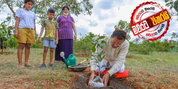 මෙන්න ‌මෛත්‍රිපාලත් ගස් හිටවනවා…