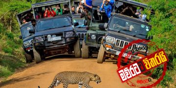 සංචාරක ව්‍යාපාරයට සජිත් ඇතුලු ‌වෙයි (VIDEO)