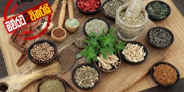 බැසිල්ගෙ බළකාය ආයුර්වේද පැත්තට බැල්ම දායි