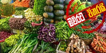 එළවළු-මාළු ‌දෙකම ආණ්ඩුව අතට ගනී
