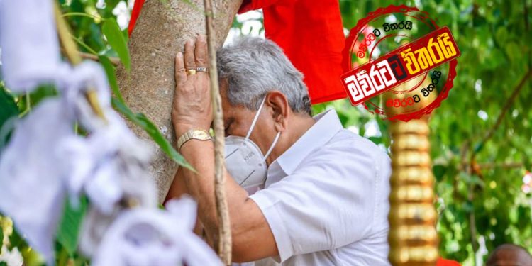 ගෝඨා ‘සෝමාවතිය’ වැඳ පුදා ගනී: කප්රුක් පූජාවටත් එක්වෙයි (PHOTOS)