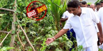 ගොවියා වෙනුවෙන් සජිත් ආණ්ඩුවට අනතුරු අඟවයි (VIDEO)