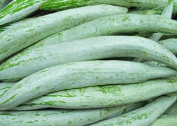 රස අඩු – ගුණ වැඩි පතෝල