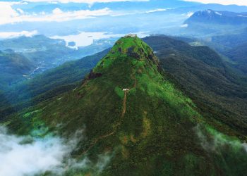 සිරිපා බිමට රහසේ එන එය සුදු ඇතා