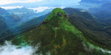 සිරිපා බිමට රහසේ එන එය සුදු ඇතා