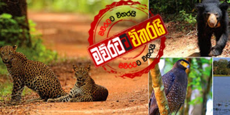 සොබාදහමට නොවන අවනත ලොවේ කිසිවක් නෑ…