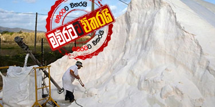 ගෝඨා පාඩුවට දුවන ලුණු සමාගම ගෙන්වයි: ලාබ පෙන්වන්න මාස 12ක් දෙයි