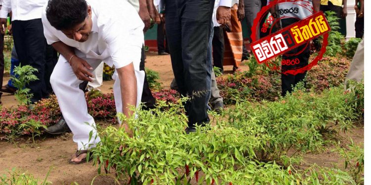 කෝ නොමිල‌ේ දෙනවා කියපු පොහොර? සජිත් ආණ්ඩුවෙන් අහයි (VIDEO)
