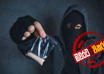 පාතාලය-කුඩු වනසන්න ගෝඨාගෙන් බලගතු බළකායක්