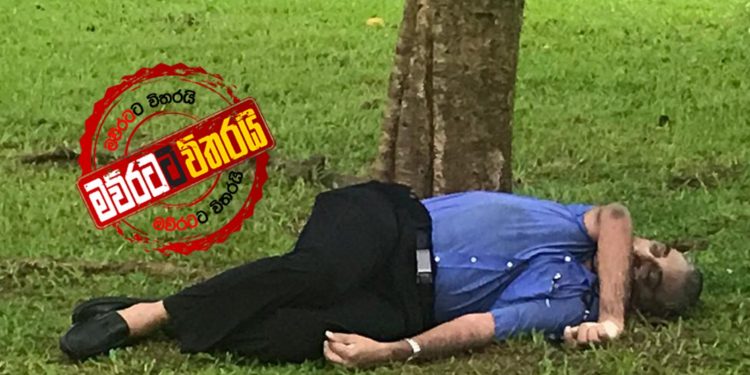 වෙඩි වැදුණු මළ සිරුරක් ටොරින්ටන්වල (PHOTOS)