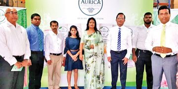 ඩ්‍රිම්රෝන් වෙතින් ශාඛසාර නිෂ්පාදන පෙළක්