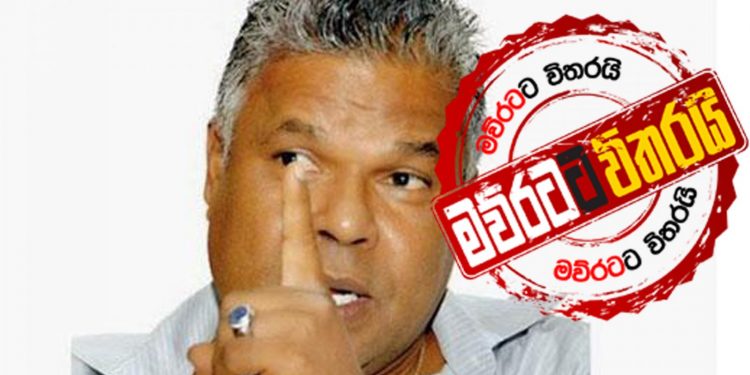 ඩඩ්ලිට පණ එයි: අනතුරු ඇඟවීමකුත් කරයි (VIDEO)