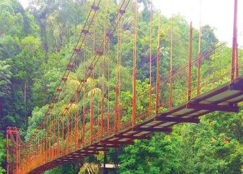 තවමත් තරුණ සුද්දගේ පාලම් සීයා