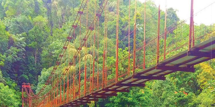 තවමත් තරුණ සුද්දගේ පාලම් සීයා