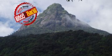 වනන්තරේ හැංගුණු සමන් කුළේ අනුහස්…