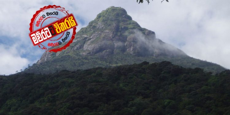 වනන්තරේ හැංගුණු සමන් කුළේ අනුහස්…