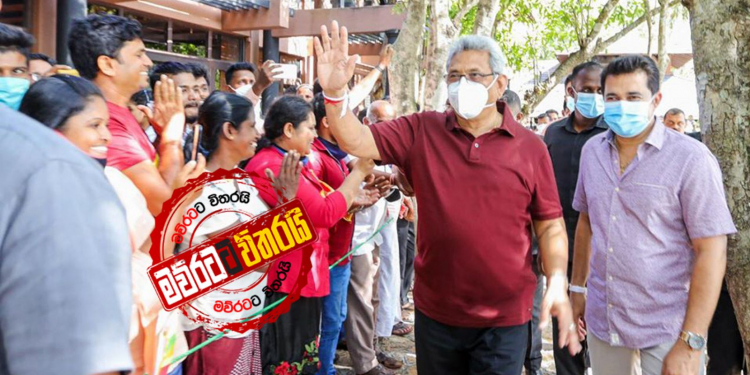 ගෝඨා පොලොන්නරුවට හරියටම බෙදයි: රොෂාන්ට 4යි: මෛත්‍රිපාලට 1යි