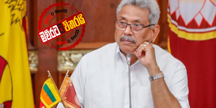 ගම්මිරිස් ගොවියාට ගෝඨාගෙන් ස්ථිර විසදුමක්