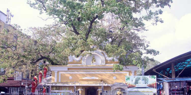 සුද්දටවත් ගලවන්න බැරිවුණු පිටකොටුවේ බෝධිය