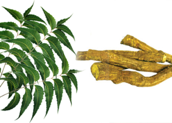 කොහොඹ කොළ – වෙනිවැල්ගැට සහ කොරෝනා