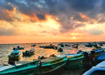 අවුරුද්දට සැරයක් යන පලෙයිතිව්