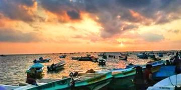 අවුරුද්දට සැරයක් යන පලෙයිතිව්