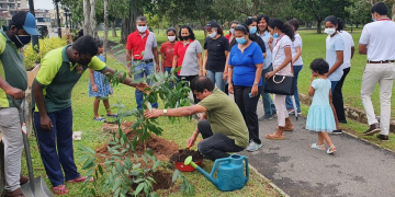 DFCC පැළ සිටුවීමේ වැඩසටහන් අඛණ්ඩව ක්‍රියාත්මක කරයි