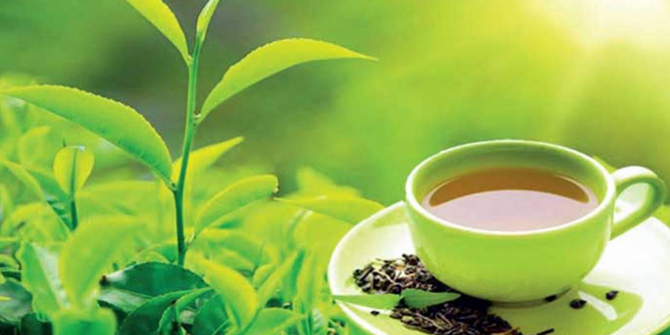 ගෝඨා ‘සිලෝන් ටී’ විතරක් ඉල්ලයි