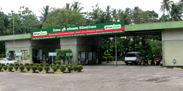 ඩ්‍රයිව්ග්‍රීන්  දුම් පරීක්ෂණ සේවාවට  ඉහළ පාරිභෝගික ප්‍රතිචාර