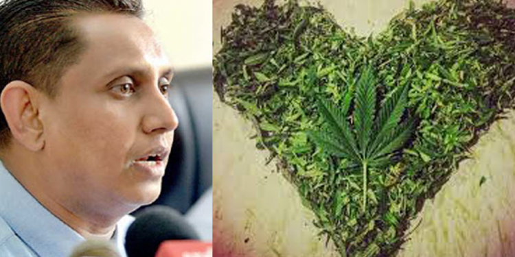 GMOA එකත් ගංජාවලට අත තියයි