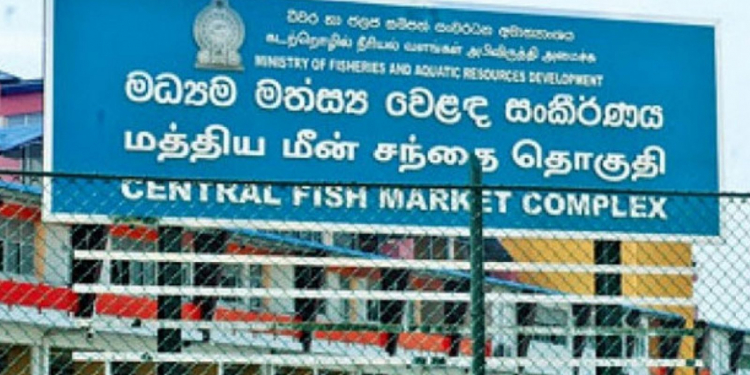 පෑලියගොඩ මාළු මාකට් එකේ 46කට කොරෝනා