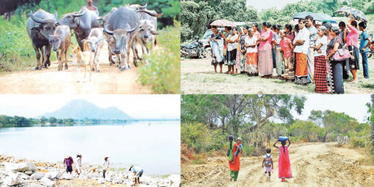 ග්රාමීය ආර්ථිකය නංවන ජාතික වැඩසටහන හෙට අනුරපුරේ