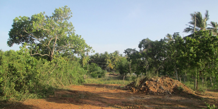 ශ්‍රීලනිප ඇමැතිවරයකුගේ හයියෙන් හම්බන්තොට මහා ඉඩම් කොල්ලයක්
