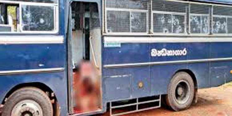 කඩුවෙල සමයංව මරා දැමූ අතුරුගිරියේ මධුරංග අවුරුදු 3කට පසු කල්පිටියේ වාඩියකදී අල්ලයි EXCLUSIVE