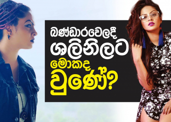 බණ්ඩාරවෙලදී ශලනිට මොකද වුණේ?