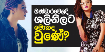 බණ්ඩාරවෙලදී ශලනිට මොකද වුණේ?
