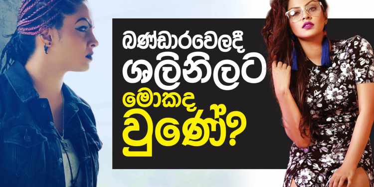 බණ්ඩාරවෙලදී ශලනිට මොකද වුණේ?