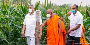 සේනා කරපු විනාශය ජනපති ඇස් දෙකෙන්ම දැක බලා ගනී (PHOTOS)