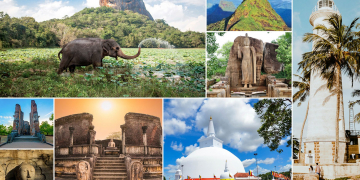 කොරෝනාවෙන් පස්සේ අපේ උරුමයෙන් වාසි ලබමු