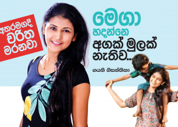 මෙගා හදන්නෙ අගක් මුලක් නැතිව