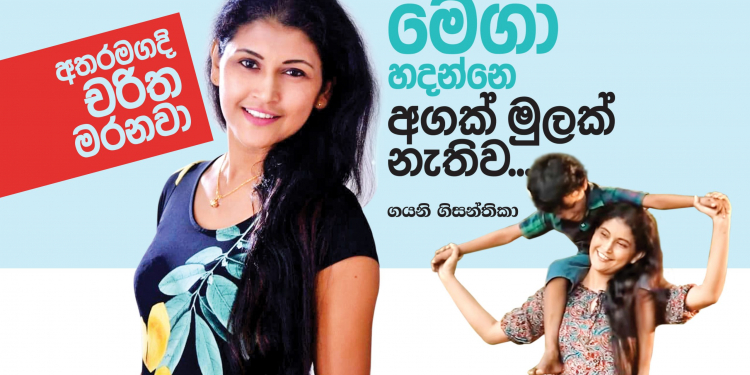 මෙගා හදන්නෙ අගක් මුලක් නැතිව