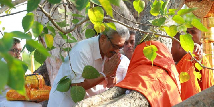 ඊයේ දළදා වැන්ද ජනපති අද ශ්රී මහා බෝධිය වැඳ පුදා ගනී