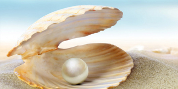 රෝග රැසකට ගුණදෙන මුතු