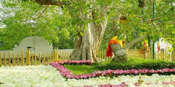 ‘මම කාලි: ඔබවහන්සේගේ අම්මා…’: ධම්මික කපුවාගේ තර්ජනයෙන් පසු ජය ශ්‍රී මහා බෝධියේ ආරක්ෂාව දැඩි කරයි